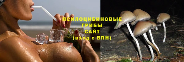 PSILOCYBIN Алексин