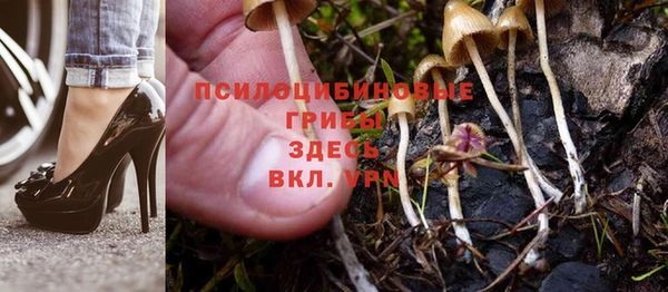 соль ск Покачи